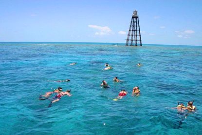 Reef and Ritas Snorkeling Trip