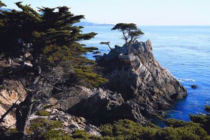 Monterey & Carmel Coastal Tour