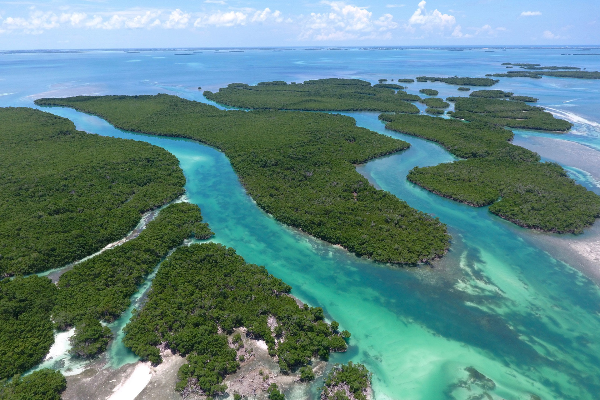 Snorkel in pristine waters